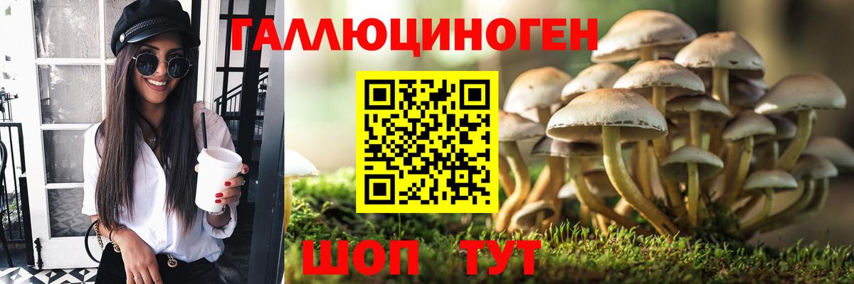 Галлюциногенные грибы мухоморы Ялуторовск
